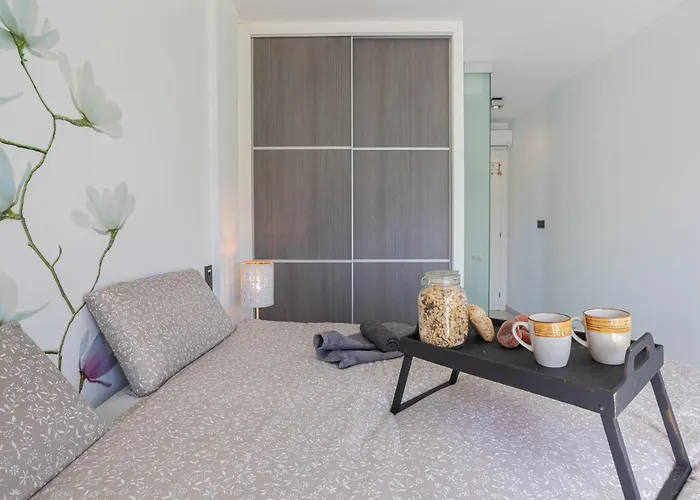 Oasis Vii Thaini With Roofterrace Appartement Torrevieja