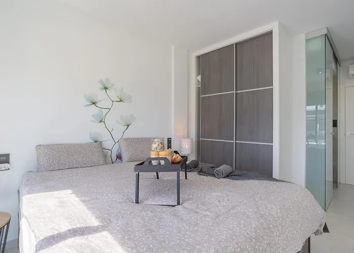 Appartement Oasis Vii Thaini With Roofterrace Torrevieja